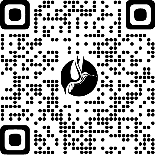 QR de WhatsApp
